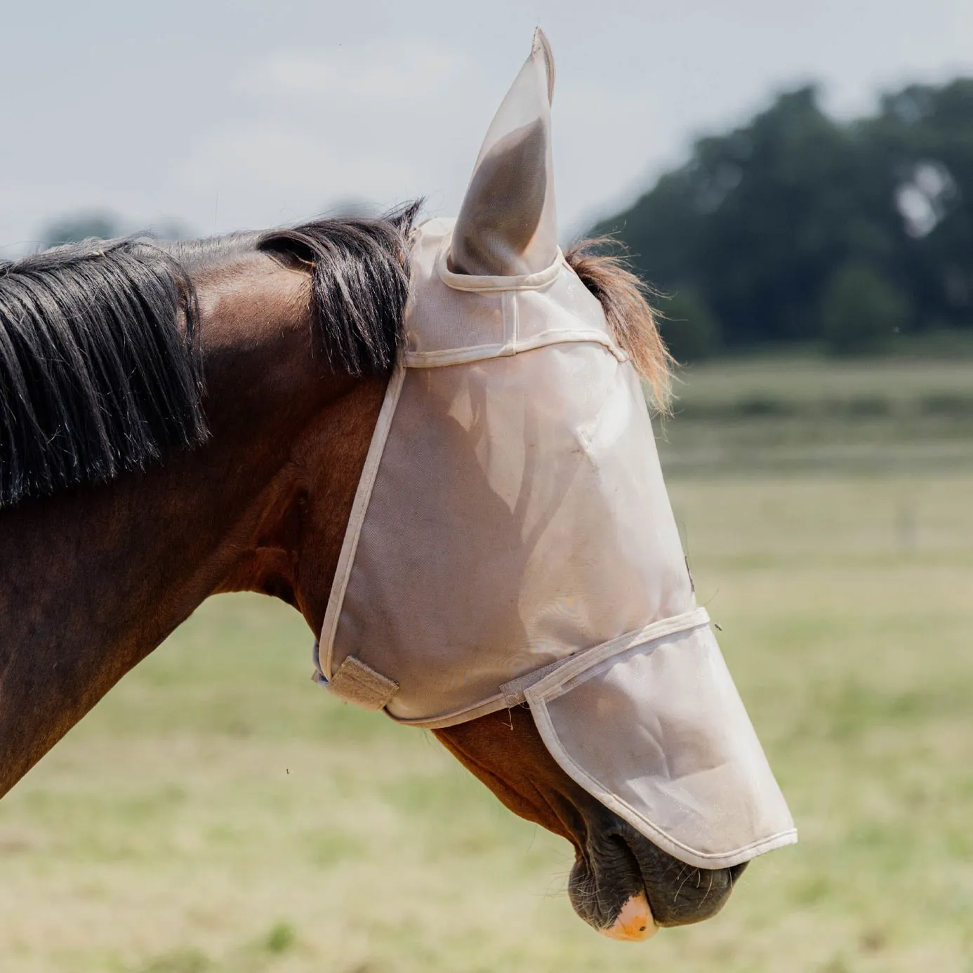 Kentucky Horsewear Fly Mask Classic with Ears and Nose - Beige