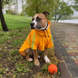 Rain Poncho for Dogs