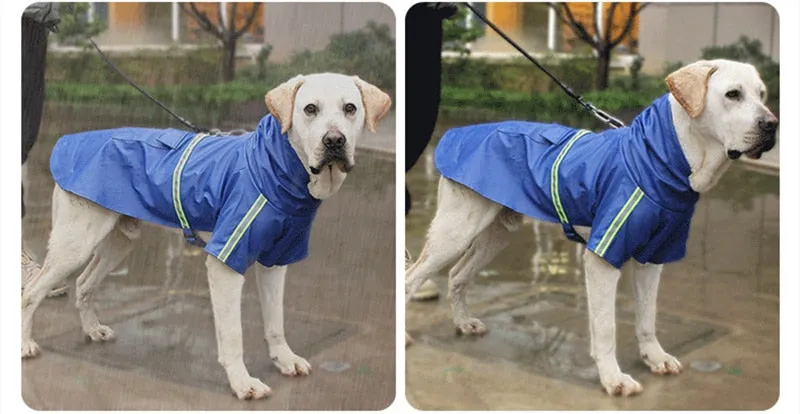 Rain Poncho for Dogs