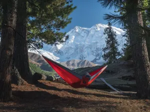 Red/Gray Hammock