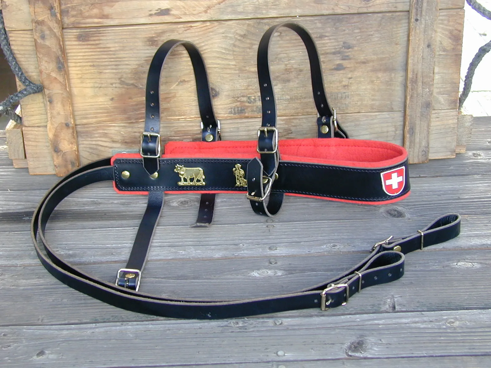 Swiss Draft Harness