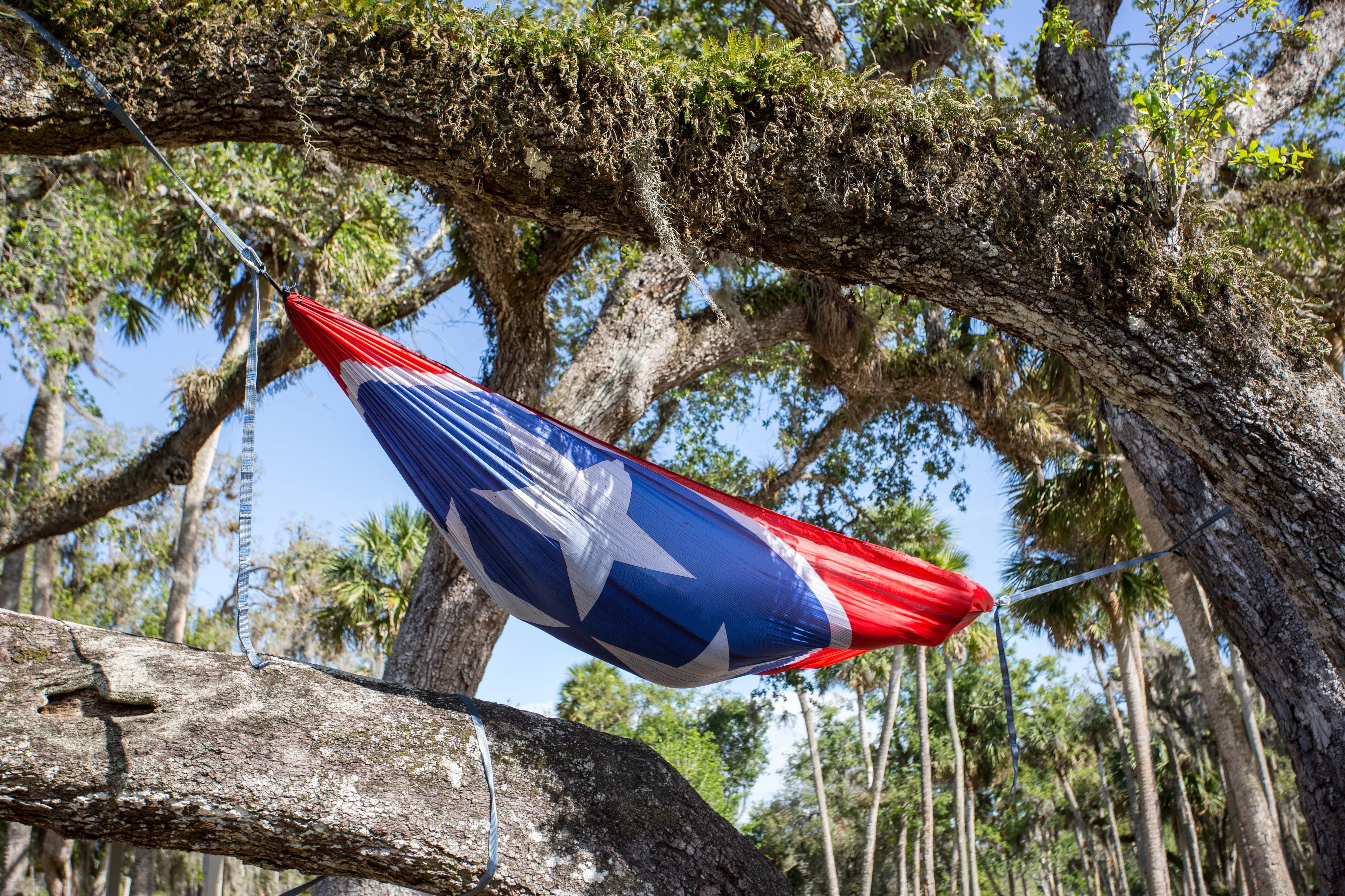 Twisted Print Hammocks