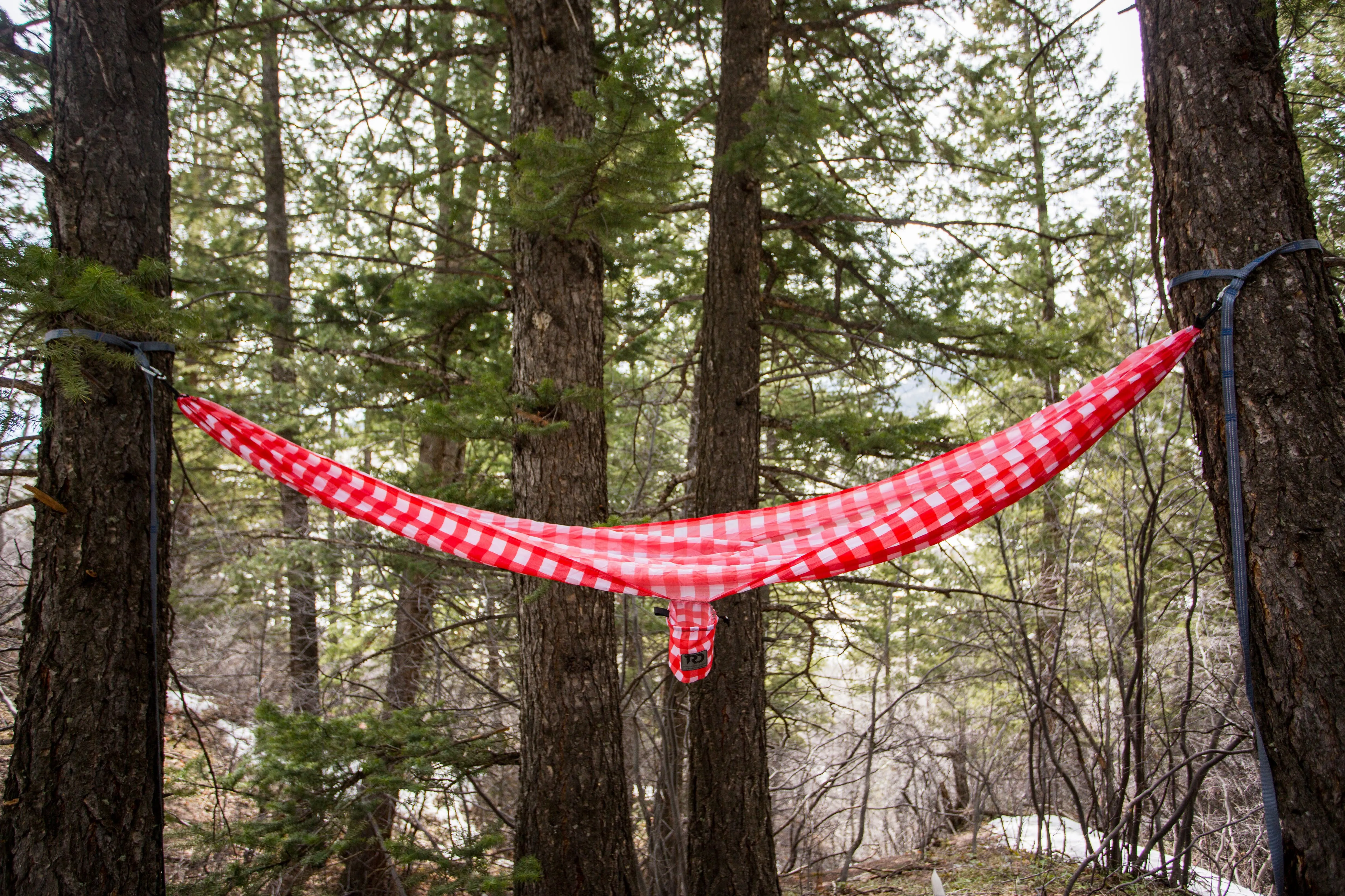 Twisted Print Hammocks