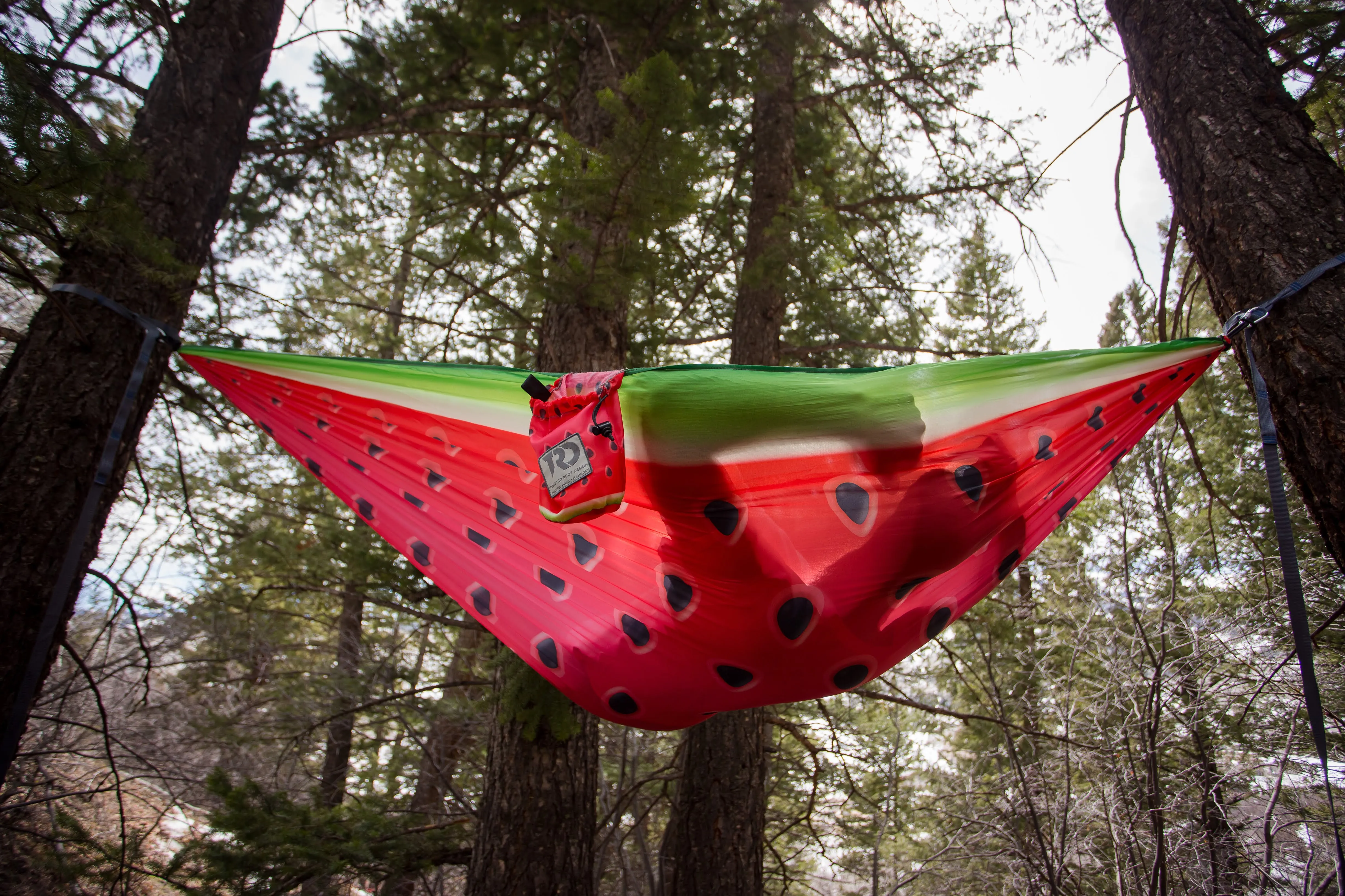 Twisted Print Hammocks